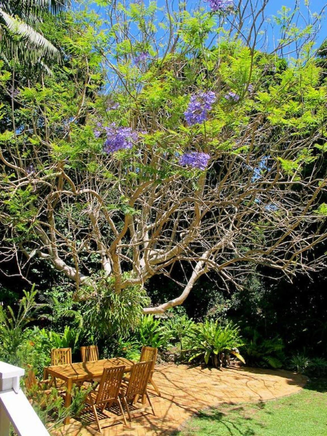 Beachcomber Lodge Lord Howe Island Exteriér fotografie